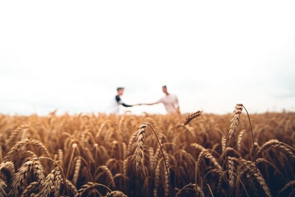 Productores de alimentos y mayoristas