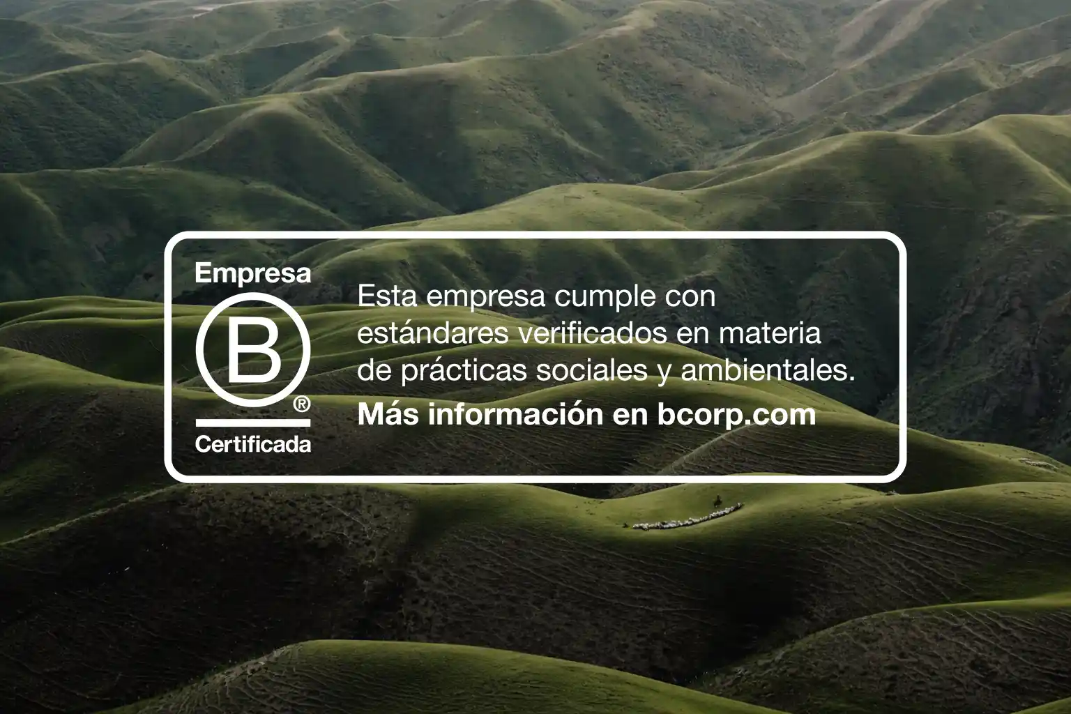 B Corporation