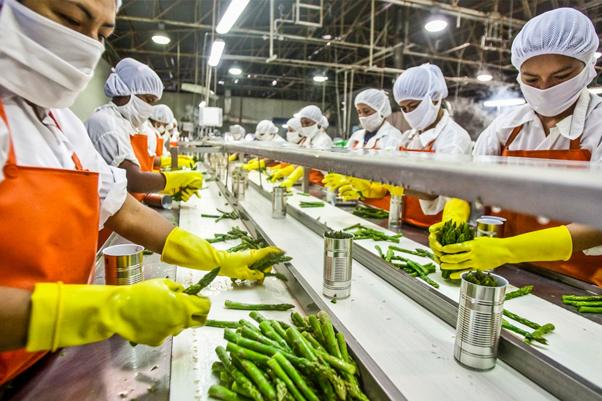Industria alimentaria y manufactura